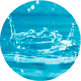 Leila Rozenski agua